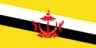 Brunei Darussalam flag